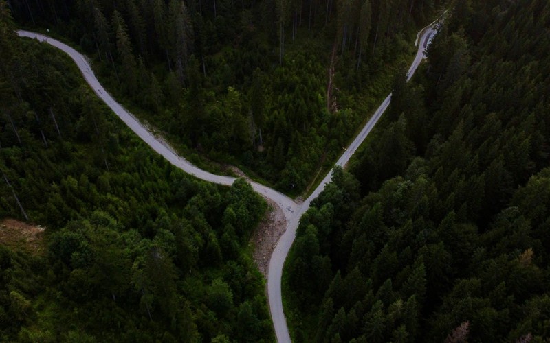 Aerial view of a Y shaped road junction cutting through dark pine forest